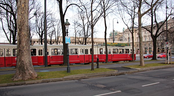 232-Вена, трамваи